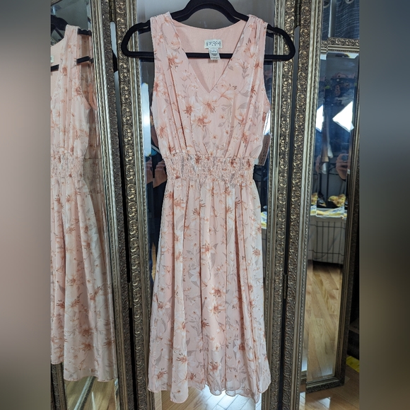 Blush Pink Floral Dress - Size 4 NWT - Picture 1 of 4